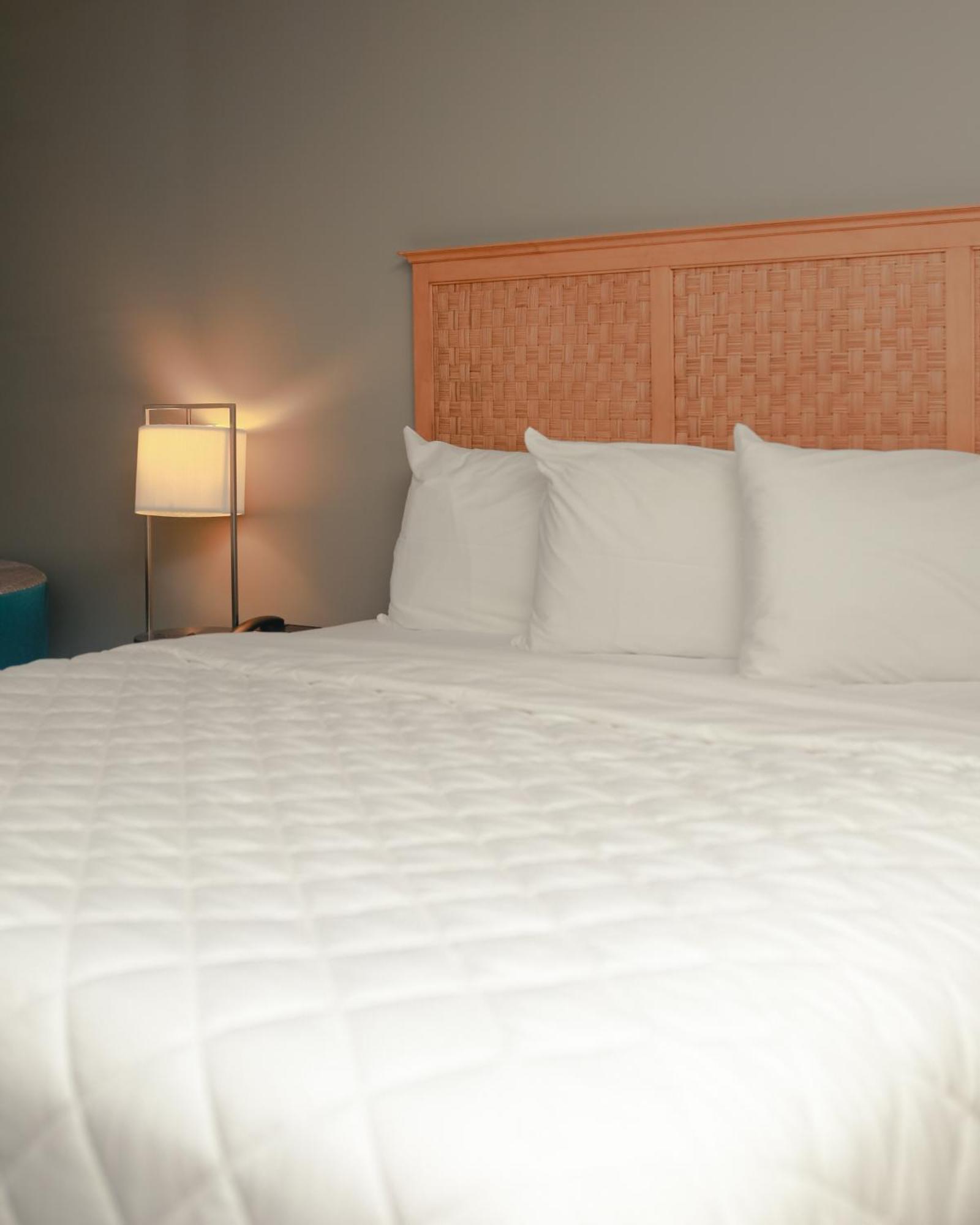 Southern Breeze Ocean Front Hotel Myrtle Beach Ngoại thất bức ảnh